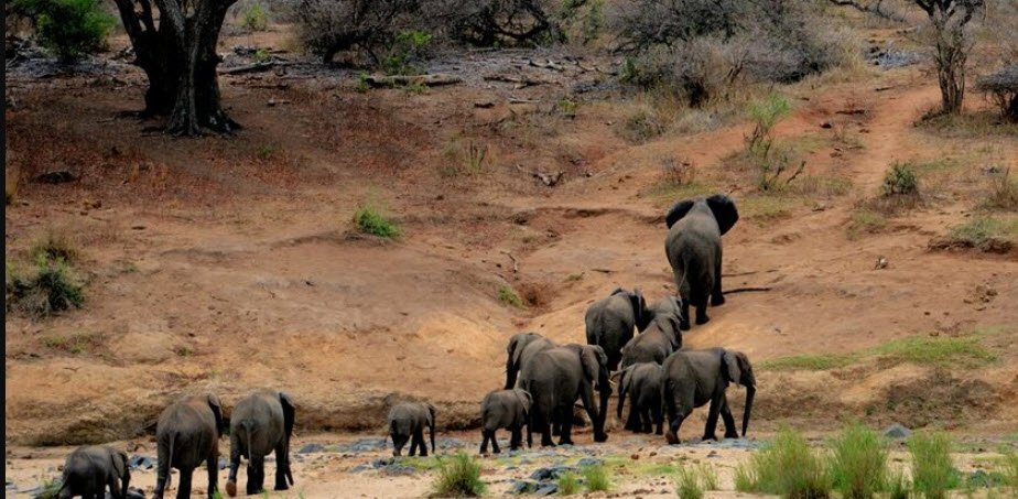 Sardarpur Wildlife Sanctuary, Dhar, Madhya Pradesh - Vushii.com Sardarpur Wildlife Sanctuary, Dhar, Madhya Pradesh - Vushii.com